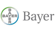 bayer